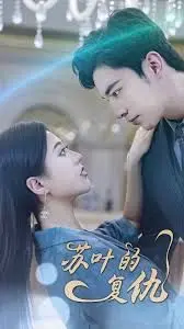 《苏叶的复仇》：复仇的火焰，燃烧正义，震撼人心的复仇之旅