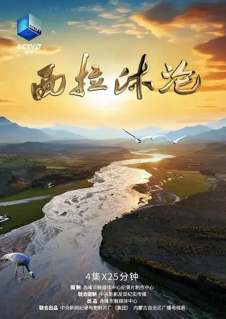 《西拉沐沦》：草原史诗的浪漫挽歌，在诗意光影中寻找失落的根