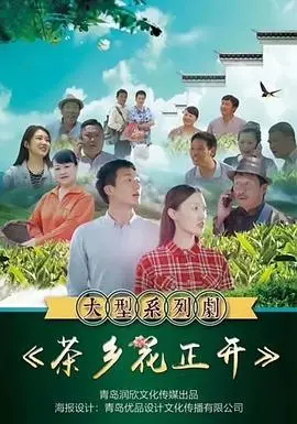 《茶乡花正开》：一盏茶香，绽放乡村振兴的希望与爱情，感受田园牧歌的真挚情感