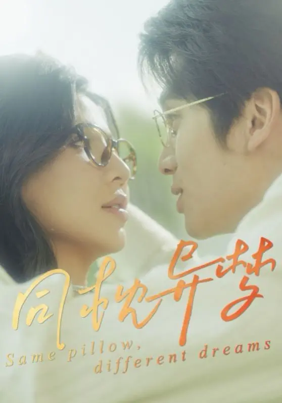 《同枕异梦》：婚姻的迷局与心路的挣扎，一场关于真相与救赎的深度剖析