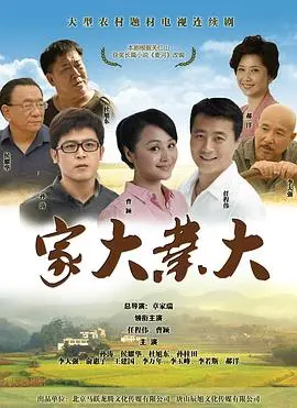 《家大业大》：家族传承的温情与现实碰撞，平凡日子里的闪光点